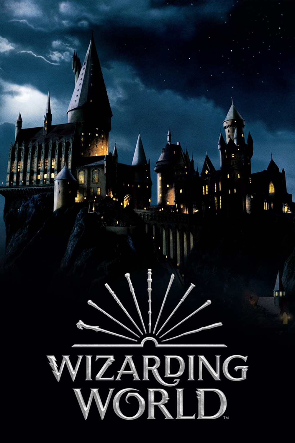 Wizarding World [220833] (A1595792932) Collection (Movies) --Plex--